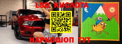 прущие крисы Кингисепп