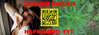 прущие крисы Кингисепп