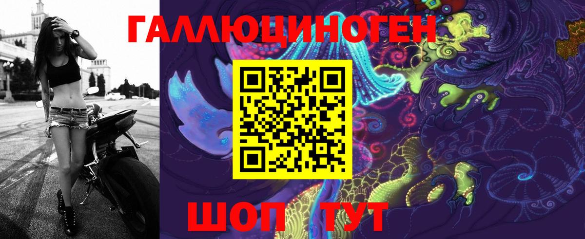 Галлюциногенные грибы Psilocybine cubensis Котельники