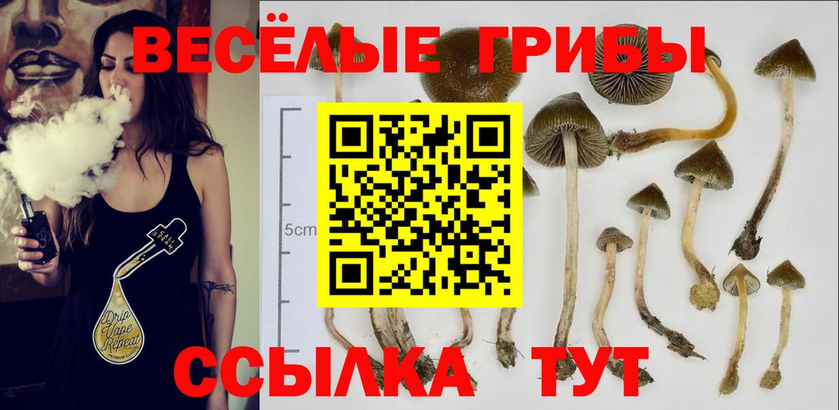 Котельники  Псилоцибиновые грибы Magic Shrooms  Галлюциногенные грибы прущие грибы  Вход с VPN 